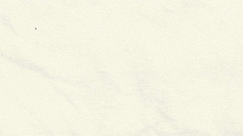 Sanitos Show // Intro